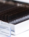 Detail view of brown eyelash extension strips displaying soft color for natural beauty and seamless regrowth